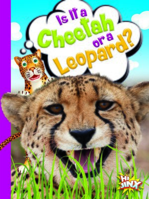 cover image of Is It a Cheetah or a Leopard?